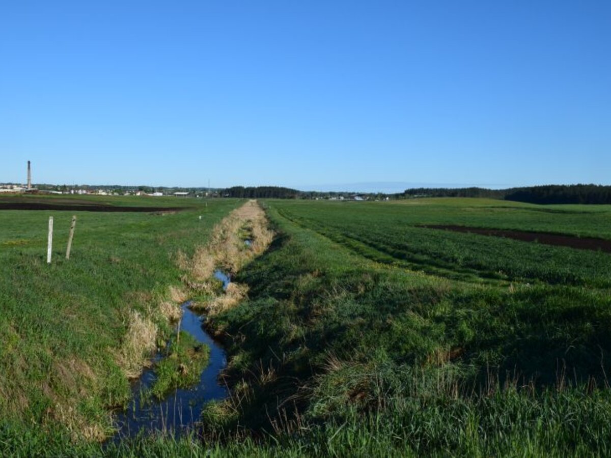Melioracijos darbams Lazdijų rajone papildomai skirtas 281 tūkstantis eurų 