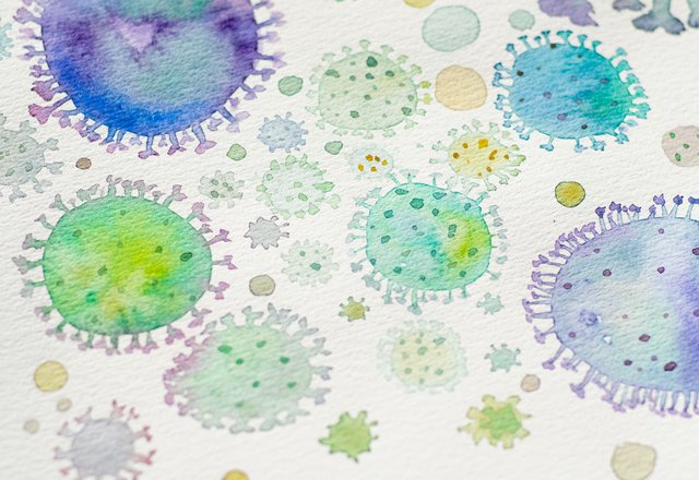 Prasideda mokslo metai. Kaip dirbsime COVID-19 epideminės situacijos metu?