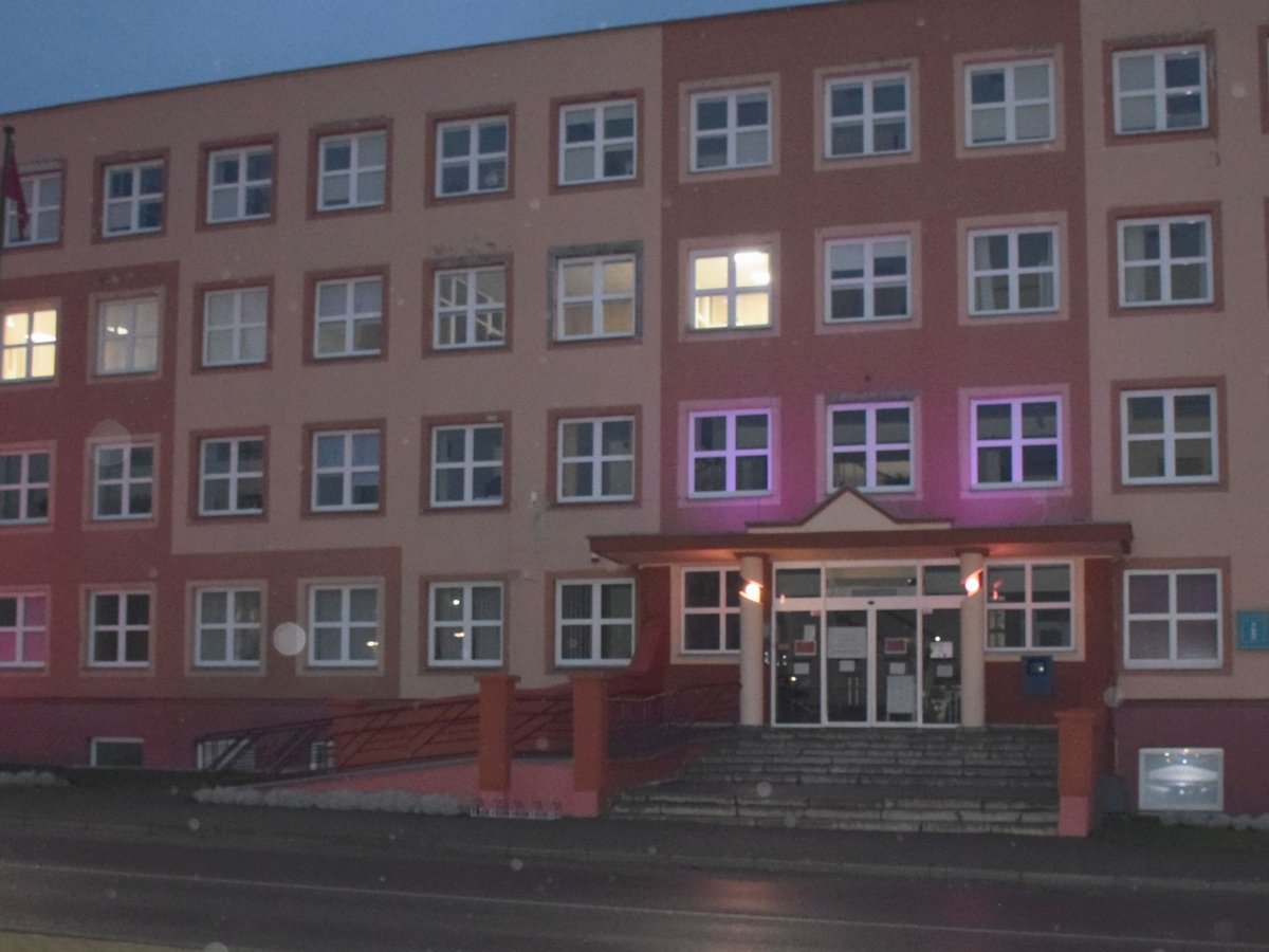 Per Lietuvą ritasi purpurinė banga – nušvito daugiau nei 30 pastatų 