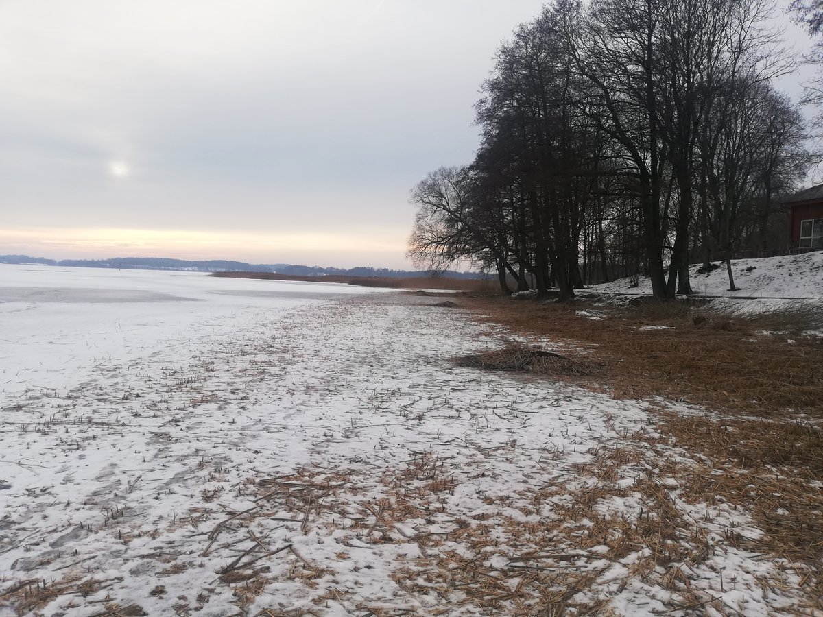 Savaitė savivaldybėje