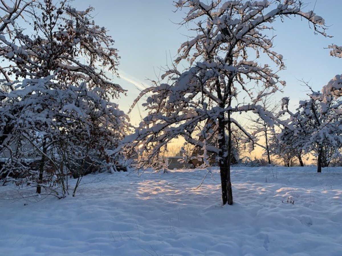 Mūsų savivaldybėje - gausus sniegas!
