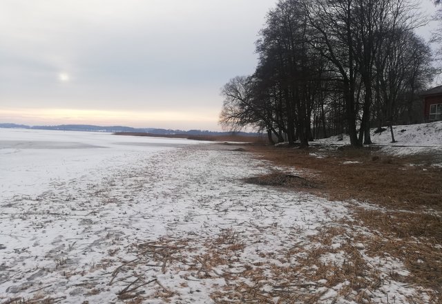 Savaitė savivaldybėje