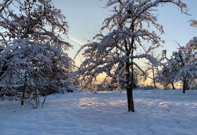 Mūsų savivaldybėje - gausus sniegas!