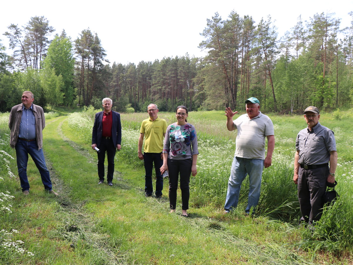 Norite maksimalios savo žemių naudos? Pasirūpinkite melioracija