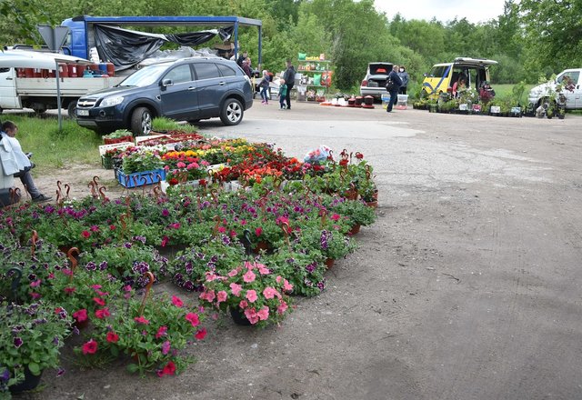 Taryba priėmė sprendimą: Veisiejų turguje ir pirkti, ir prekiauti bus saugu