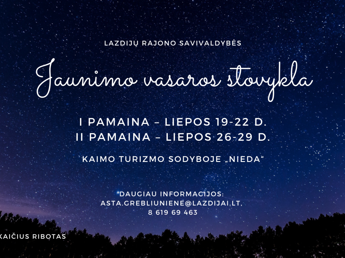 Kviečia Lazdijų rajono savivaldybės jaunimo vasaros stovykla