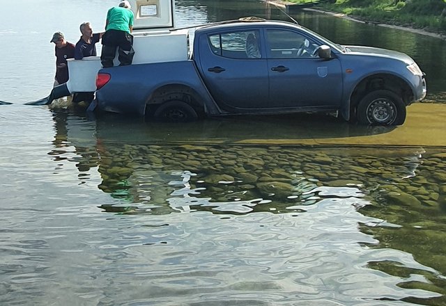Šiandien į Dusios ežero vandenis iškeliavo net 11 tūkstančių paprastojo šamo jauniklių