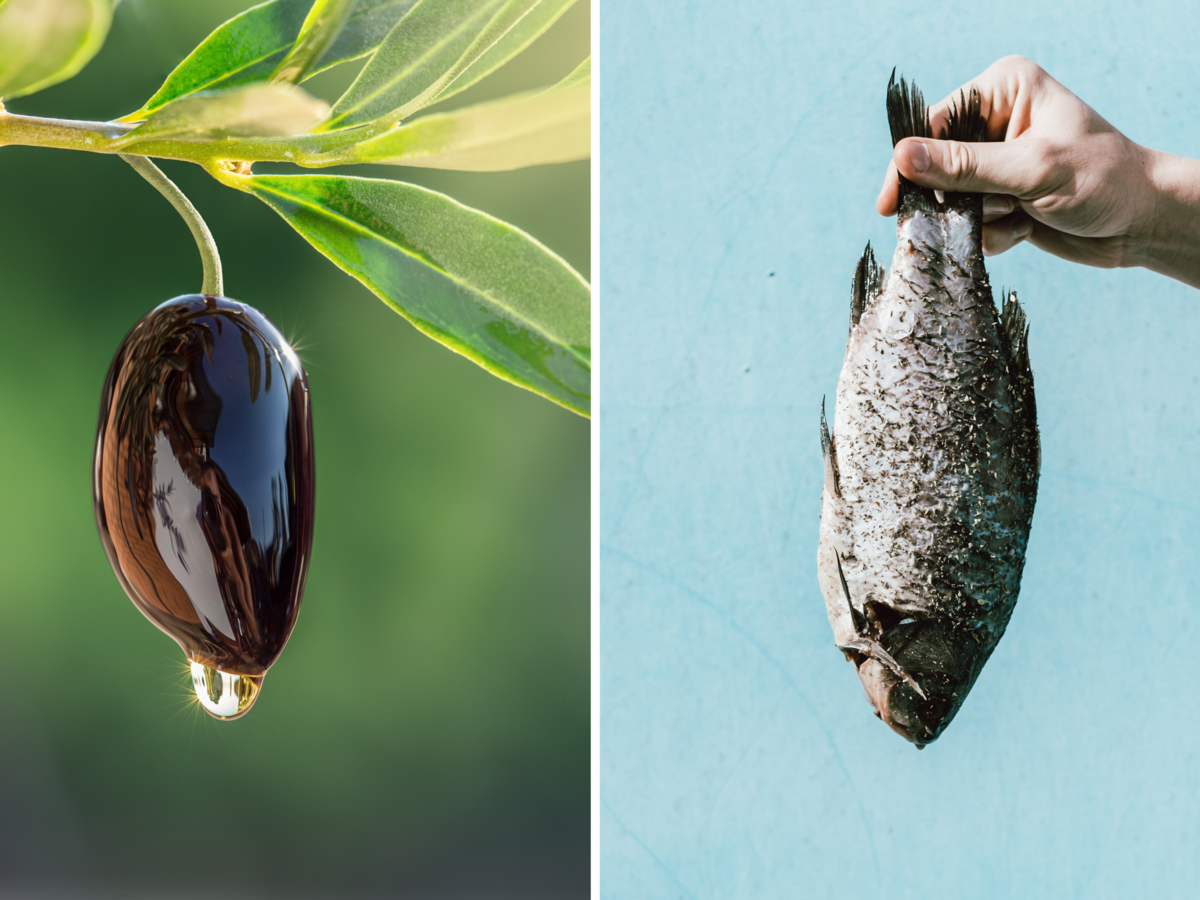 Bioplastiko išradėjai pasitelkia gamtos išteklius – nuo alyvuogių kauliukų iki žuvų kaulų