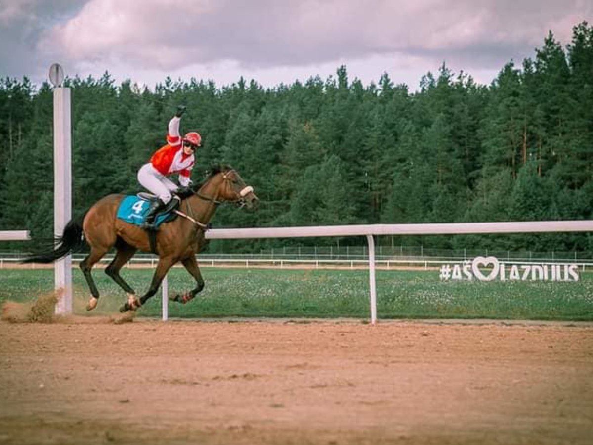 Anglijos karalienės Elžbietos II vardas – Lazdijų hipodromo tribūnoms