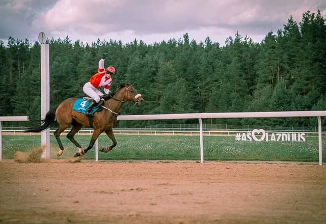 Anglijos karalienės Elžbietos II vardas – Lazdijų hipodromo tribūnoms