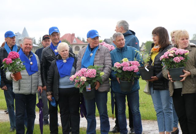Sekmadienio popietę Lazdijai skendo hortenzijų žieduose