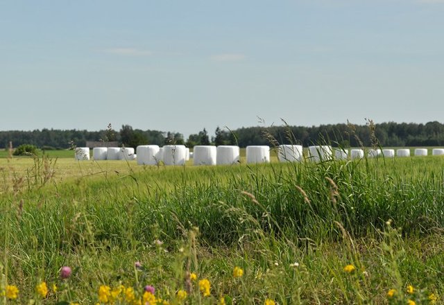Patvirtinta kompensavimo tvarka ūkininkams: galima kreiptis dėl nuostolių nekilnojamajam turtui,...
