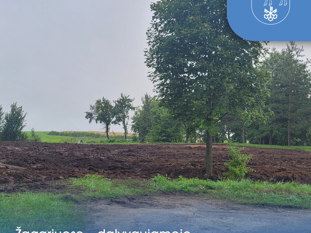 Dalyvaujamųjų biudžetų įgyvendinimų startas – Žagariuose