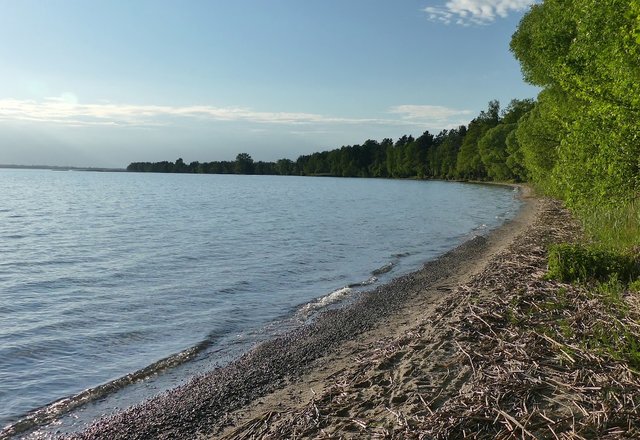 Dusios ežere maudytis nerekomenduojama