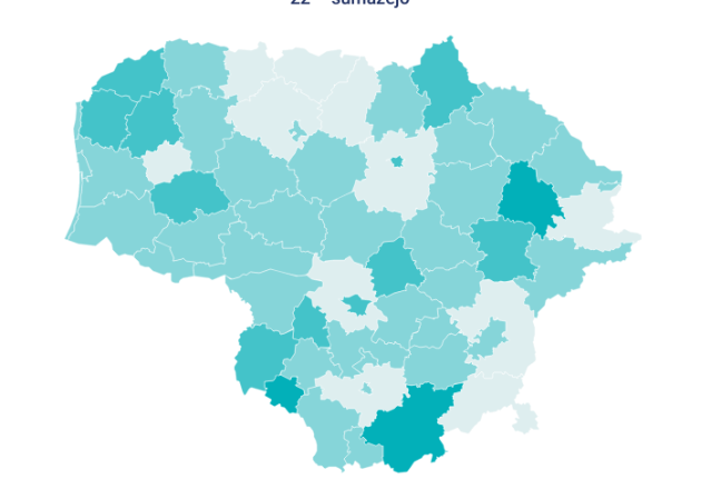 VRK apžvalga: savarankiškų politinės kampanijos dalyvių skaičius lyginant su 2019 m. sumažėjo
