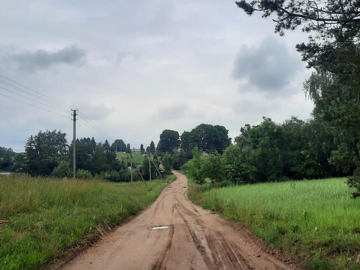   Asfaltuotų kelių rajone – daugėja: pasirašyta sutartis dėl Pakalnučių gatvės remonto Seiliūnuose