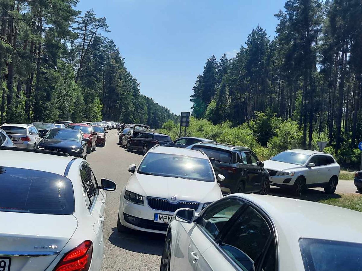 Lazdijų rajono ežerų vandens kokybė atitinka nustatytus reikalavimus, tačiau suaktyvėjo cerkarijos