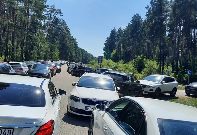 Lazdijų rajono ežerų vandens kokybė atitinka nustatytus reikalavimus, tačiau suaktyvėjo cerkarijos