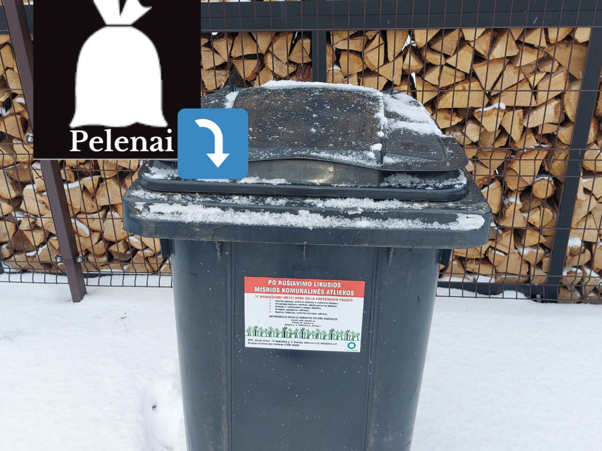 Jei pelenai keliauja į konteinerį - meskite tik atvėsintus ir supiltus į maišelius