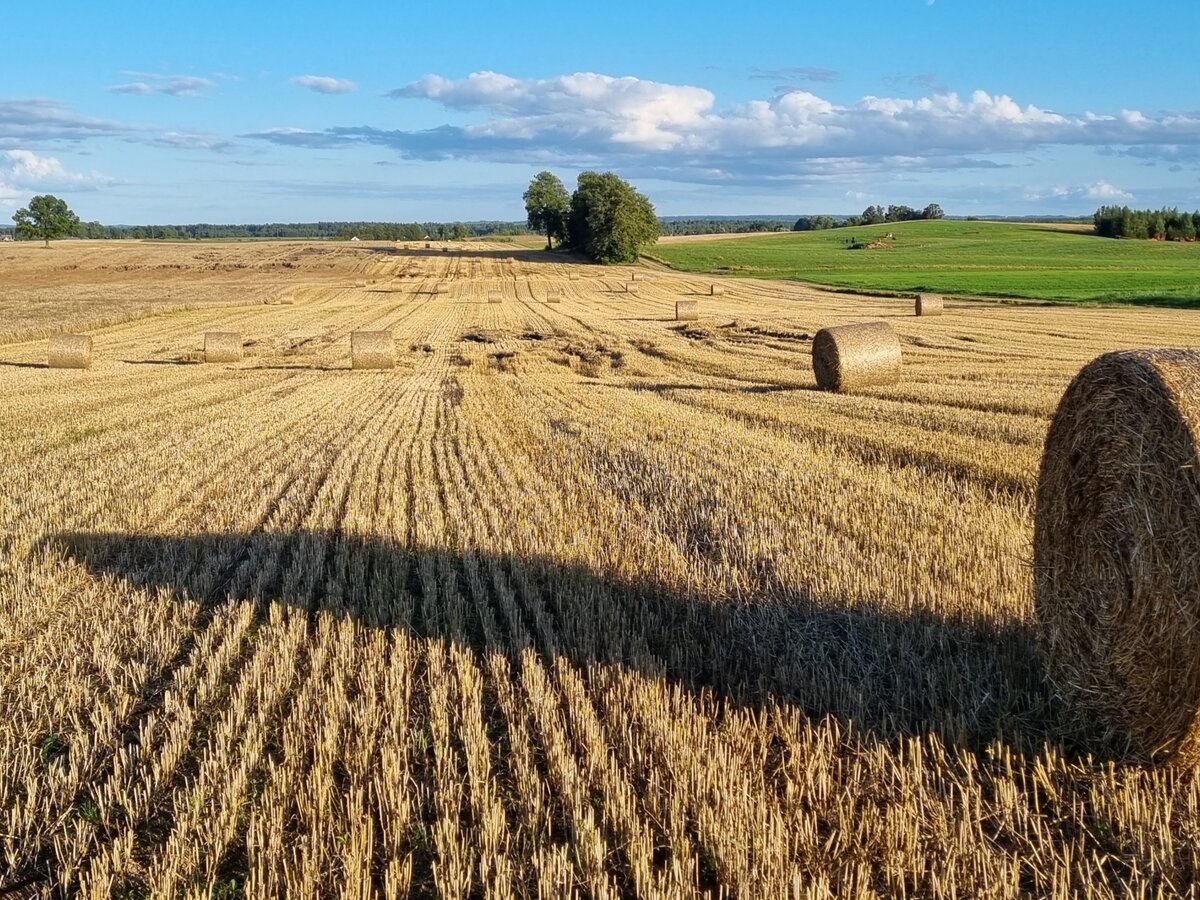KVIEČIAME ŪKININKUS TEIKTI PRAŠYMUS PATIRTŲ NUOSTOLIŲ IR IŠLAIDŲ DALINIAM KOMPENSAVIMUI