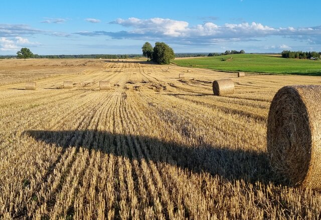 KVIEČIAME ŪKININKUS TEIKTI PRAŠYMUS PATIRTŲ NUOSTOLIŲ IR IŠLAIDŲ DALINIAM KOMPENSAVIMUI