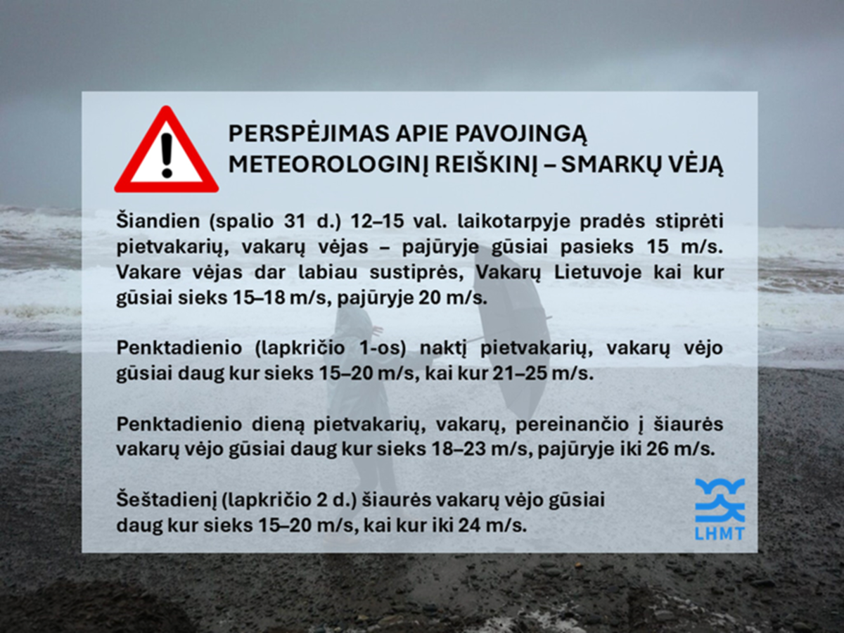 Perspėjimas apie pavojingą meteorologinį reiškinį – smarkų vėją šį savaitgalį