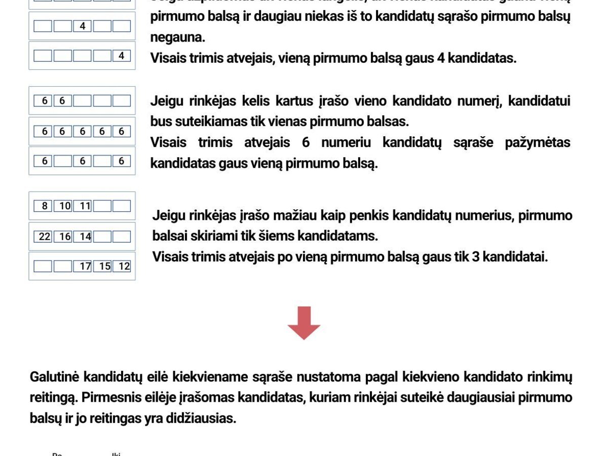VRK primena: kaip reitinguoti Seimo rinkimuose ir ką lemia reitingo balsai?