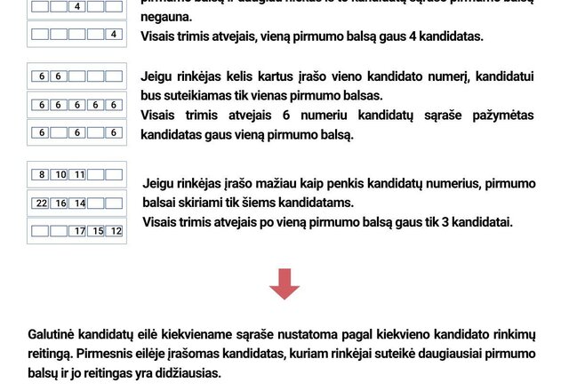 VRK primena: kaip reitinguoti Seimo rinkimuose ir ką lemia reitingo balsai?