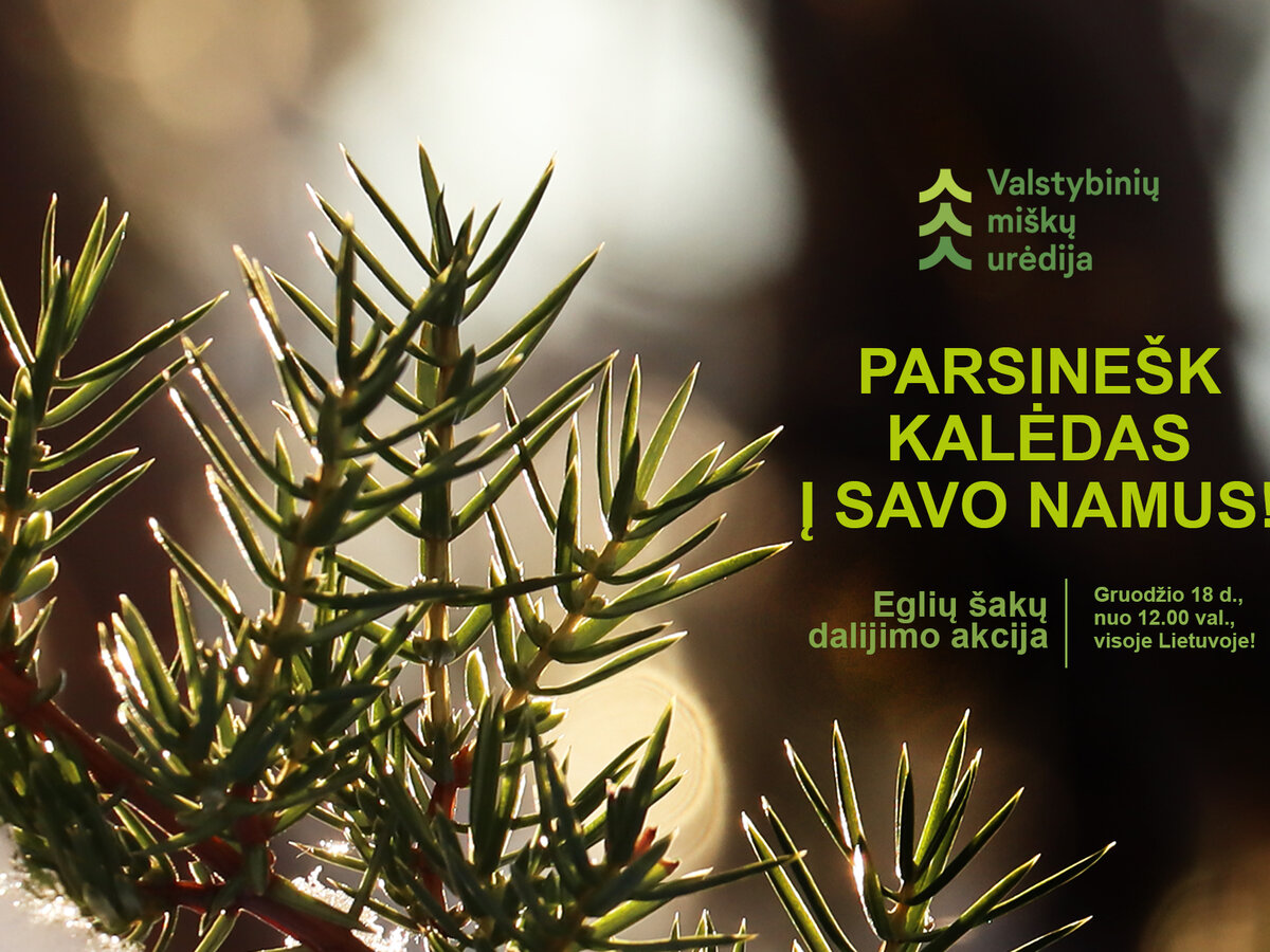 Akcija „Parsinešk Kalėdas į savo namus“ 