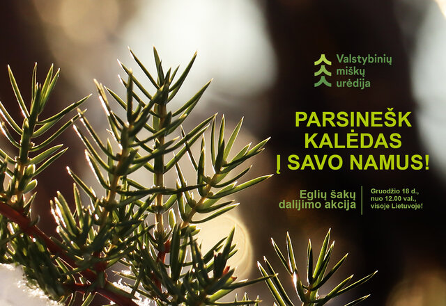 Akcija „Parsinešk Kalėdas į savo namus“ 