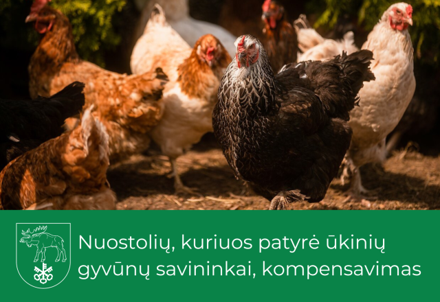 Nuostolių, kuriuos patyrė ūkinių gyvūnų savininkai, kompensavimas 