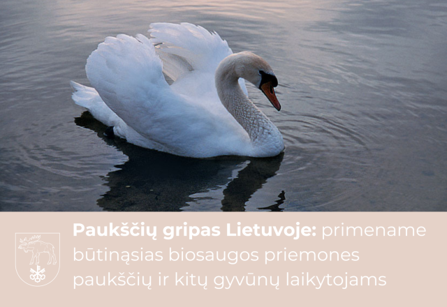Paukščių gripas Lietuvoje: primename būtinąsias biosaugos priemones paukščių ir kitų gyvūnų...