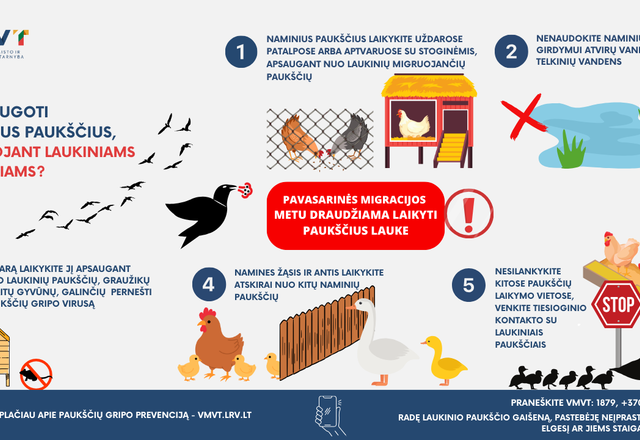 Aktualu gyventojams: svarbu laikytis paukščių gripo prevencijos