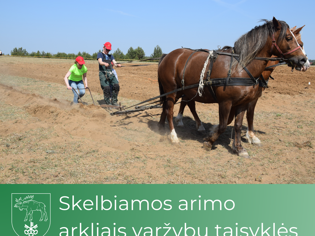 Skelbiamos arimo arkliais varžybų taisyklės