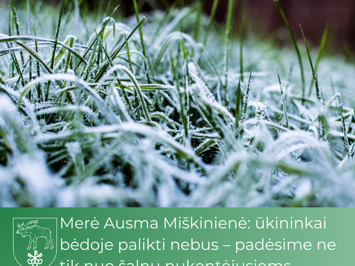 Merė Ausma Miškinienė: ūkininkai bėdoje palikti nebus – padėsime ne tik nuo šalnų nukentėjusiems