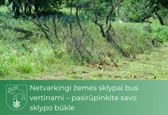 Netvarkingi žemės sklypai bus vertinami – pasirūpinkite savo sklypo būkle