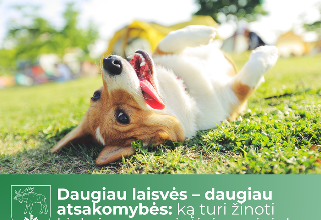Daugiau laisvės – daugiau atsakomybės: ką turi žinoti kiekvienas augintinio savininkas