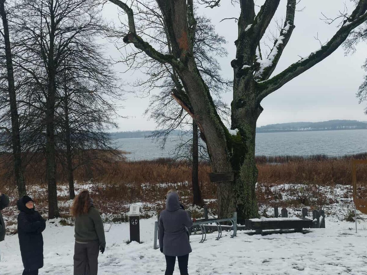 Šiandien Veisiejų parke tartasi dėl senojo uosio išsaugojimo