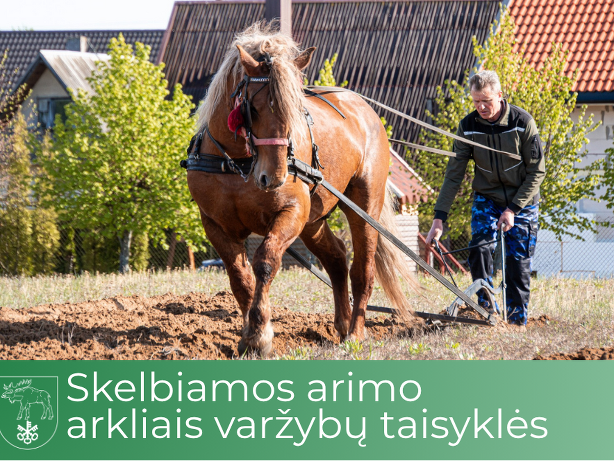 Skelbiamos arimo arkliais varžybų taisyklės