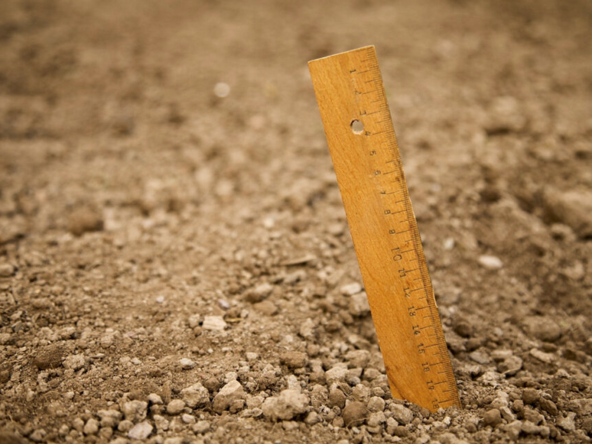 Informacija apie vykdomus valstybinio geologinio kartografavimo darbus