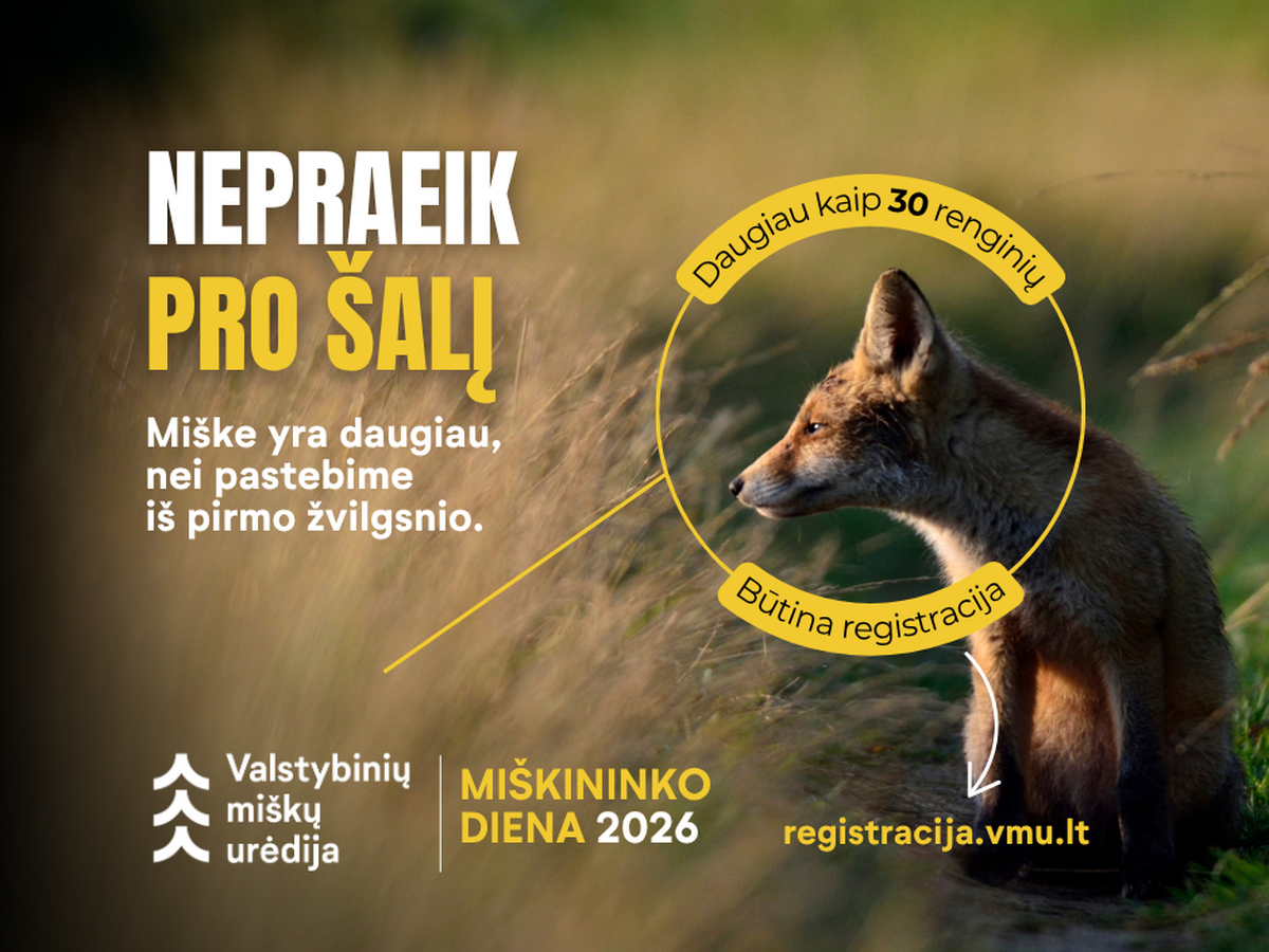 Valstybinių miškų urėdija kviečia Lietuvos gyventojus į Miškininko dienų renginius – visoje...